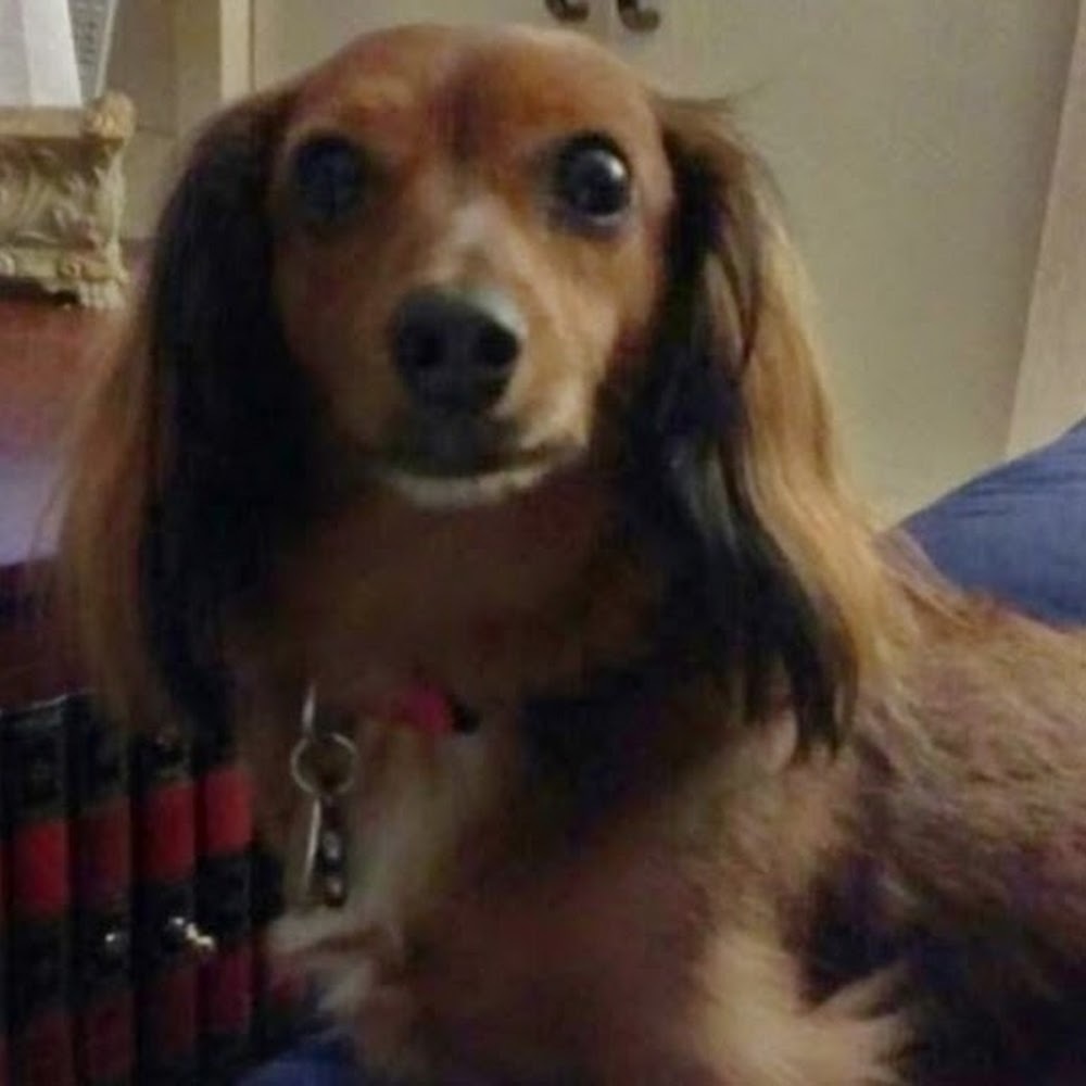 Meet your Posher, Candy